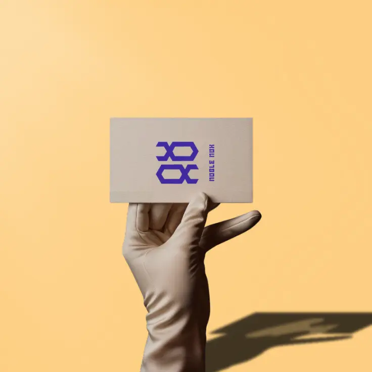 Noble Nox brand identity, image 11